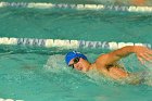 Swimming vs Bentley  Wheaton College Swimming & Diving vs Bentley College. - Photo by Keith Nordstrom : Wheaton, Swimming & Diving